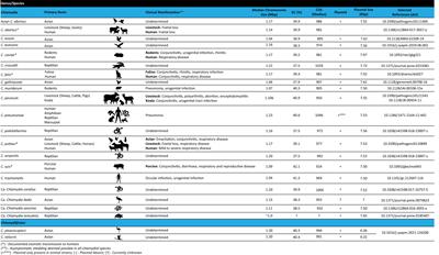 Genome organization and genomics in Chlamydia: whole genome sequencing increases understanding of chlamydial virulence, evolution, and phylogeny